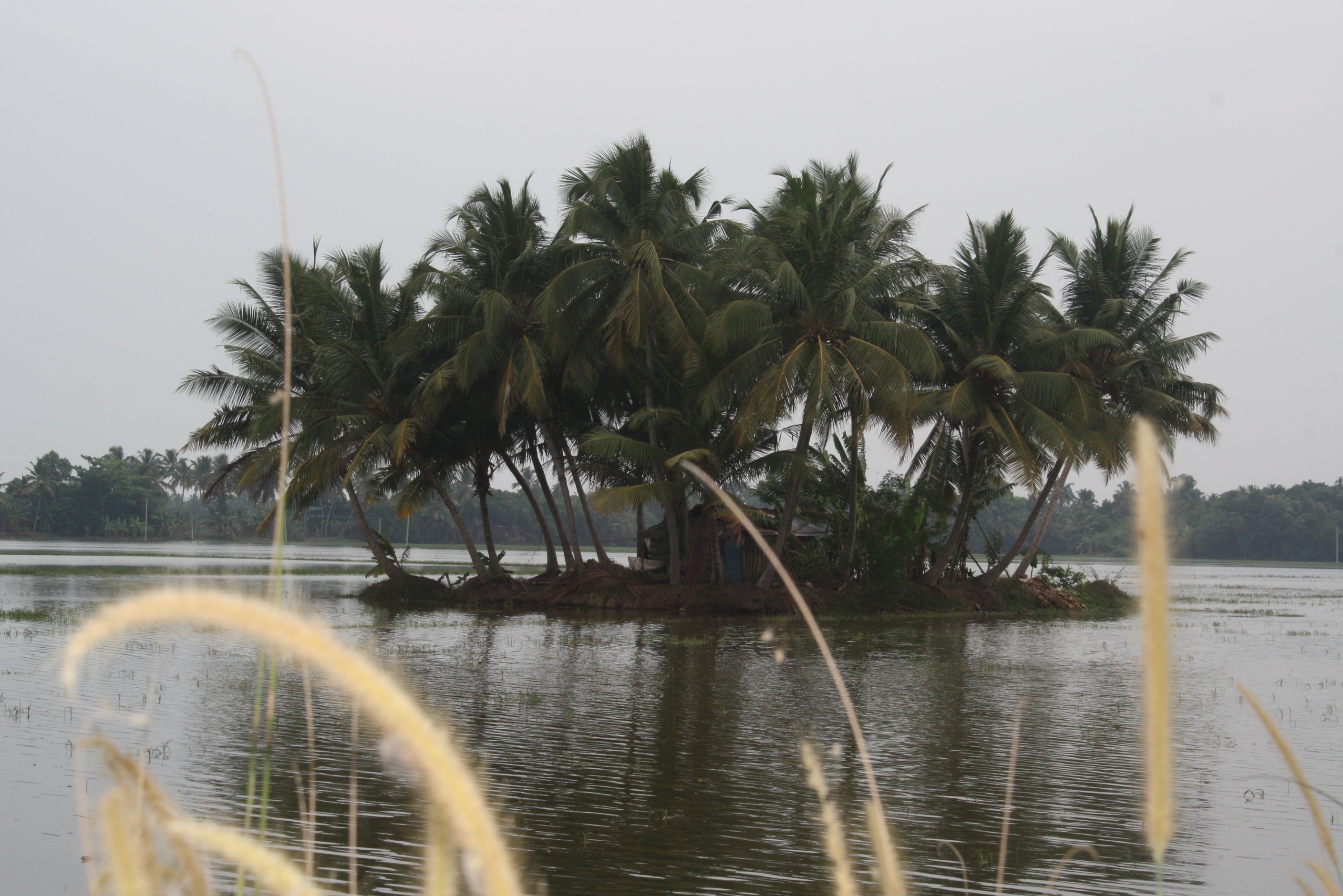Die Backwater von Kerala