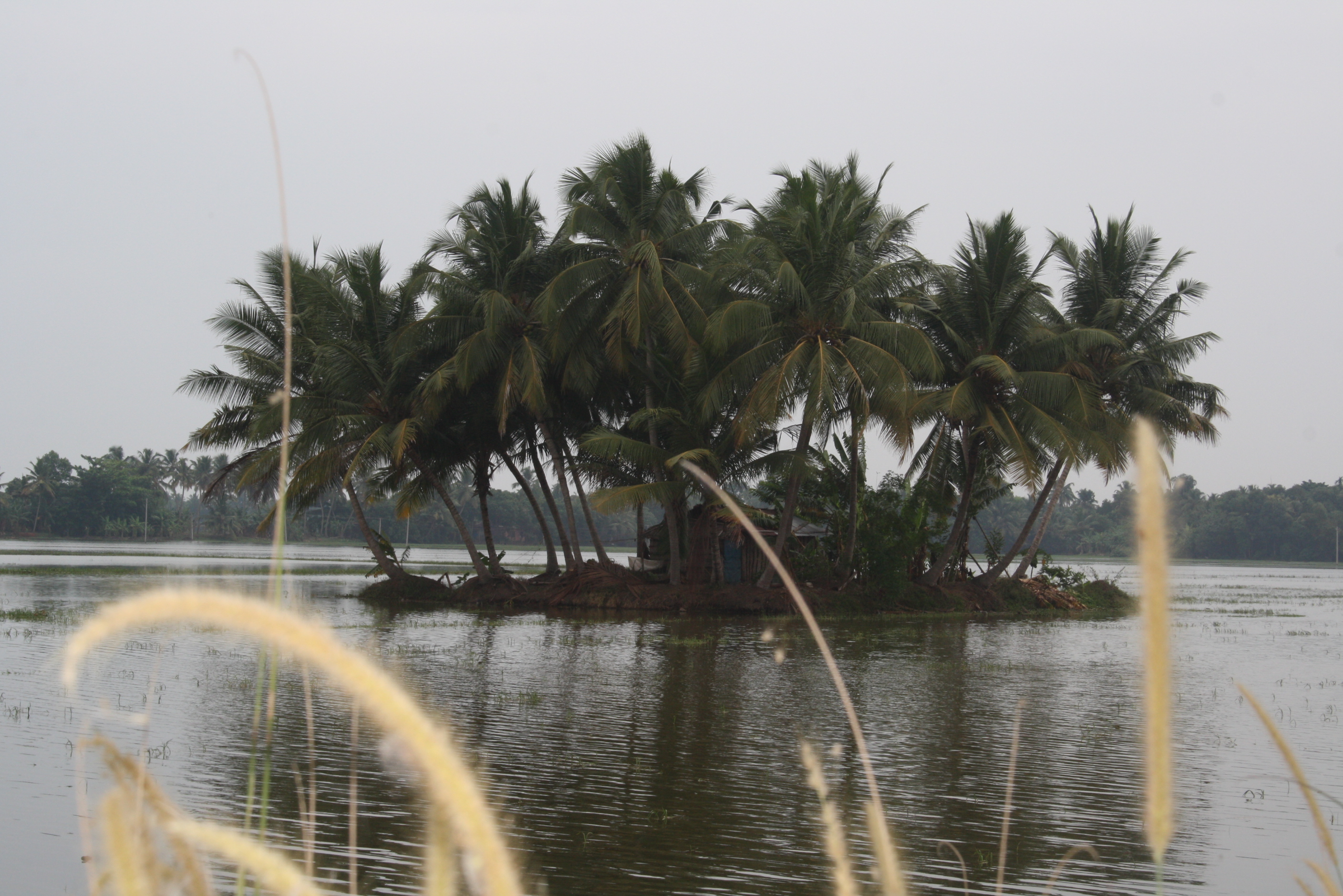 Die Backwater von Kerala