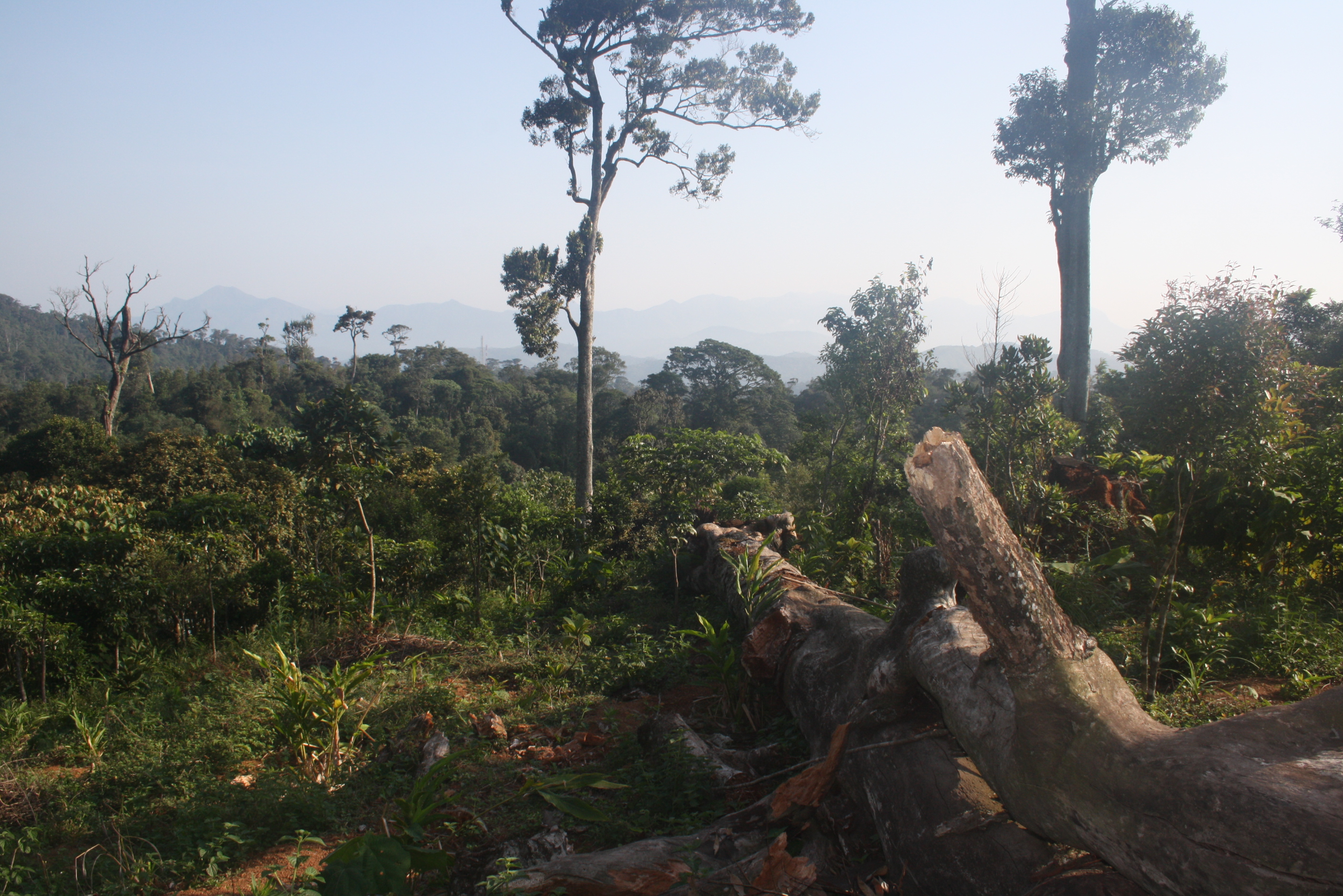 Ausbild auf die Western Ghats