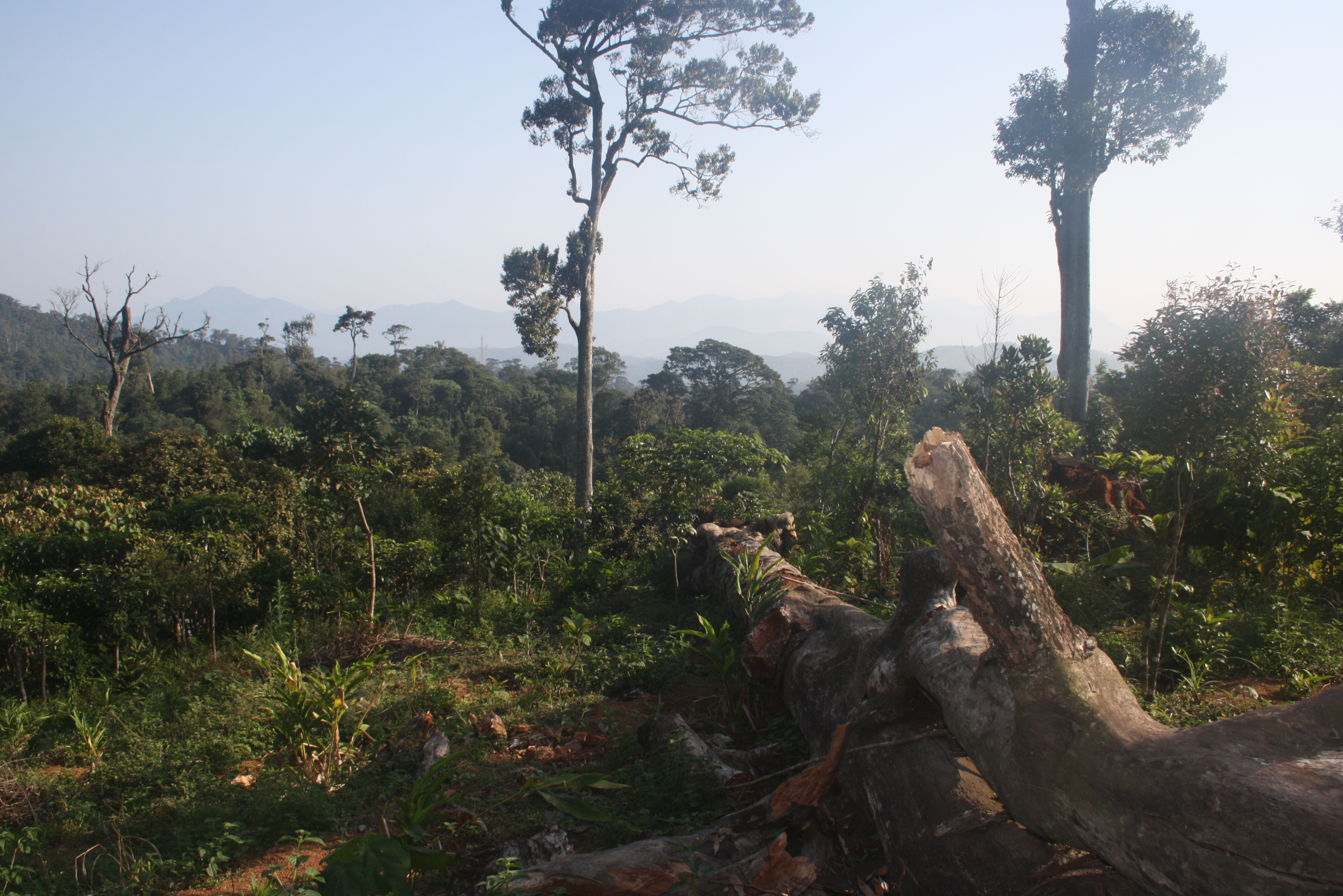 Ausbild auf die Western Ghats