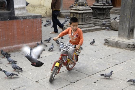 Radfahren in Indien